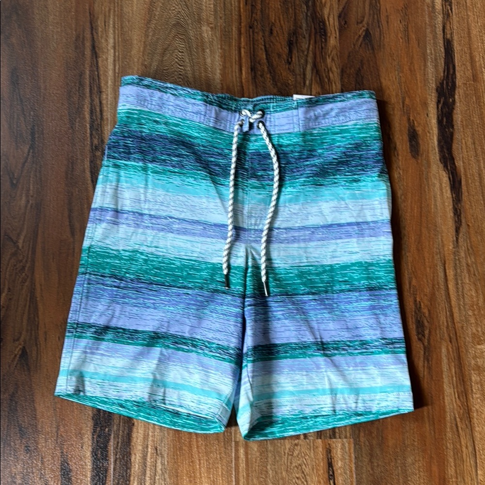 Sonoma Blue and Green Board Shorts with Striped Design